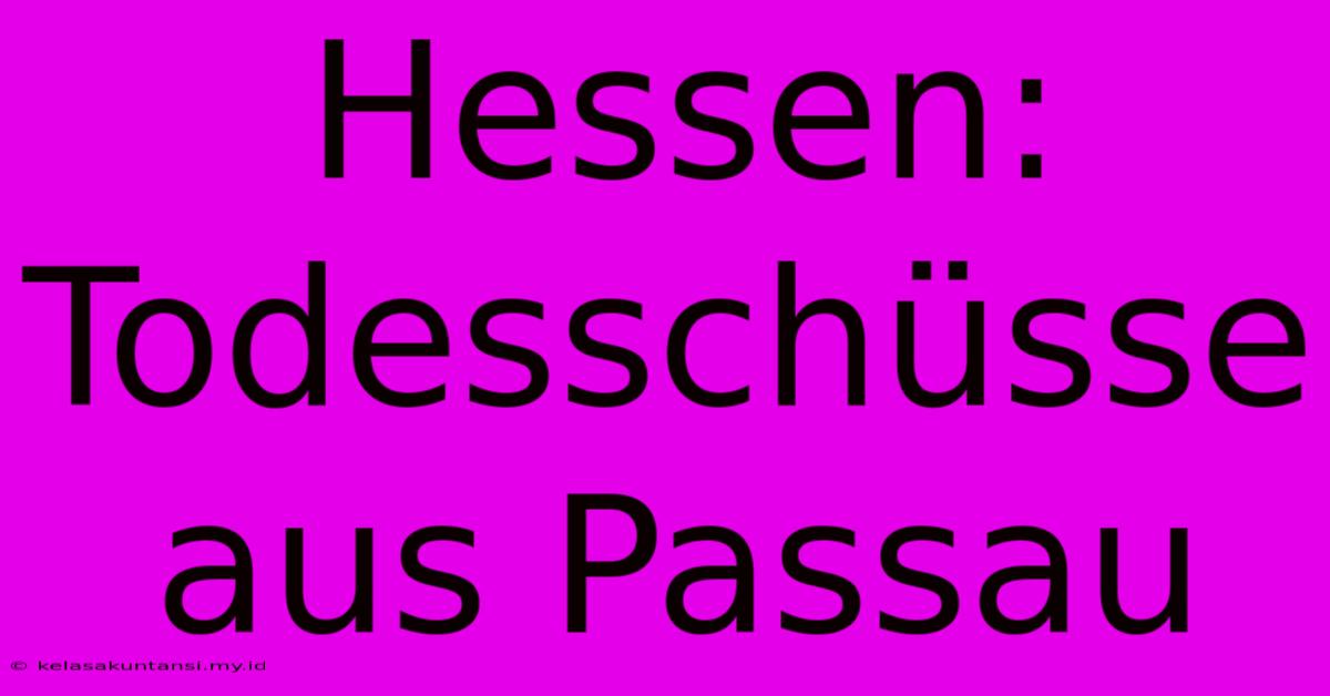 Hessen: Todesschüsse Aus Passau Hessen: Todesschüsse Aus Passau