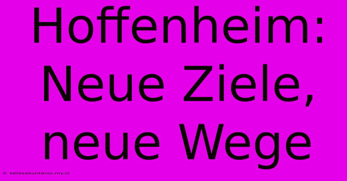 Hoffenheim: Neue Ziele, Neue Wege