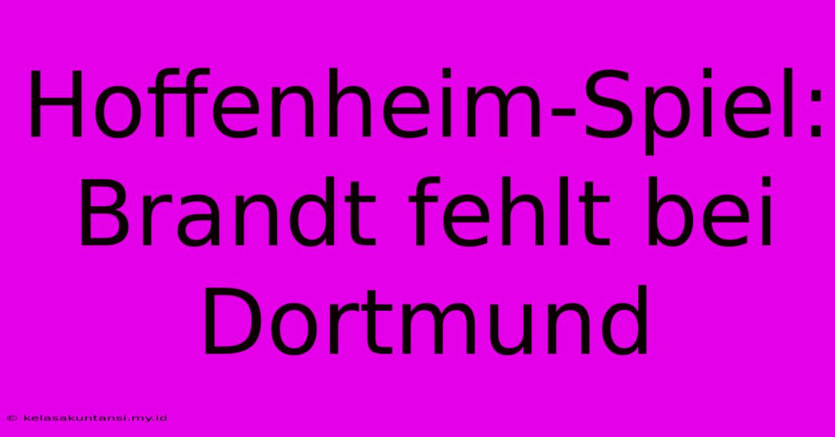 Hoffenheim-Spiel: Brandt Fehlt Bei Dortmund