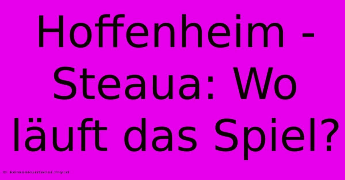 Hoffenheim - Steaua: Wo Läuft Das Spiel?