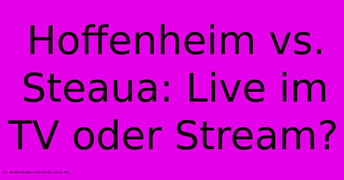 Hoffenheim Vs. Steaua: Live Im TV Oder Stream?