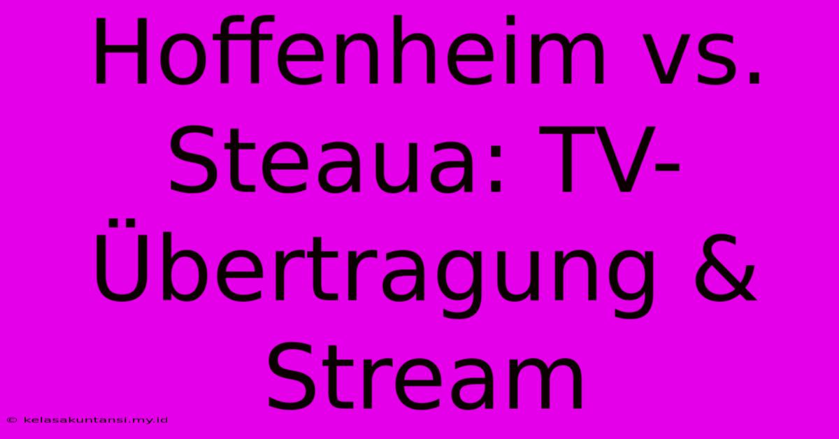 Hoffenheim Vs. Steaua: TV-Übertragung & Stream