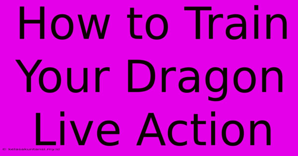 How To Train Your Dragon Live Action