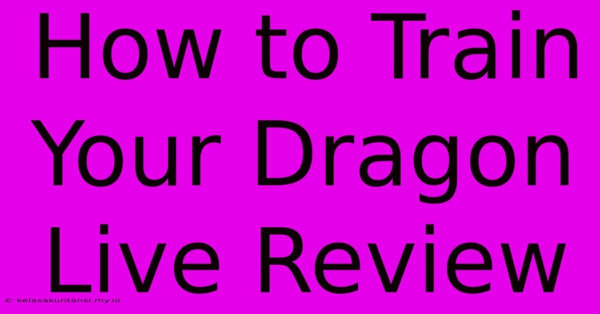 How To Train Your Dragon Live Review