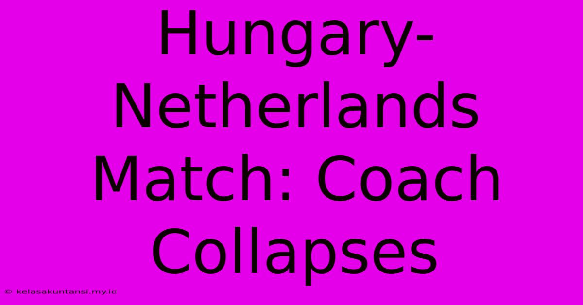 Hungary-Netherlands Match: Coach Collapses