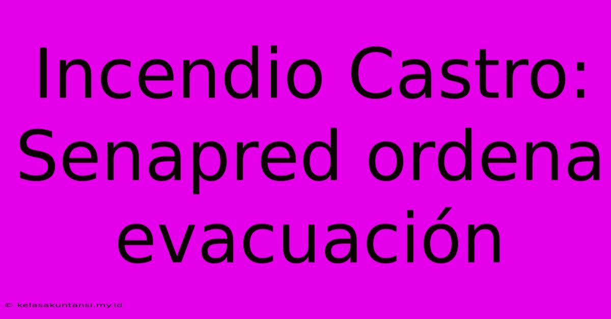 Incendio Castro: Senapred Ordena Evacuación