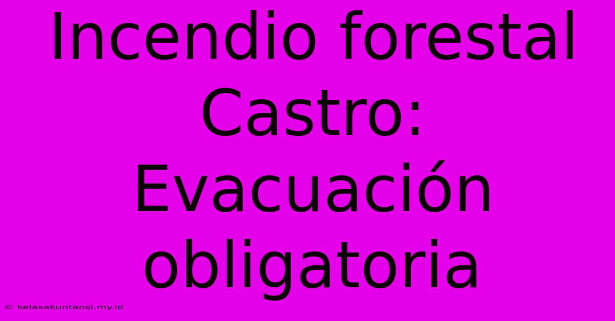 Incendio Forestal Castro: Evacuación Obligatoria