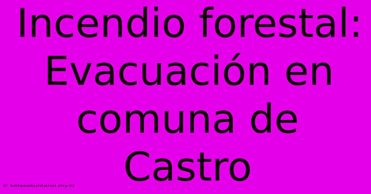 Incendio Forestal: Evacuación En Comuna De Castro