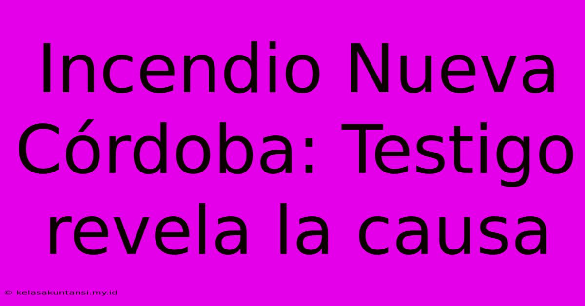 Incendio Nueva Córdoba: Testigo Revela La Causa