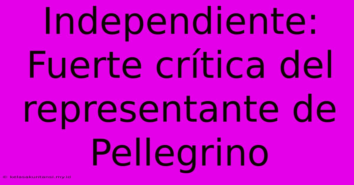 Independiente: Fuerte Crítica Del Representante De Pellegrino