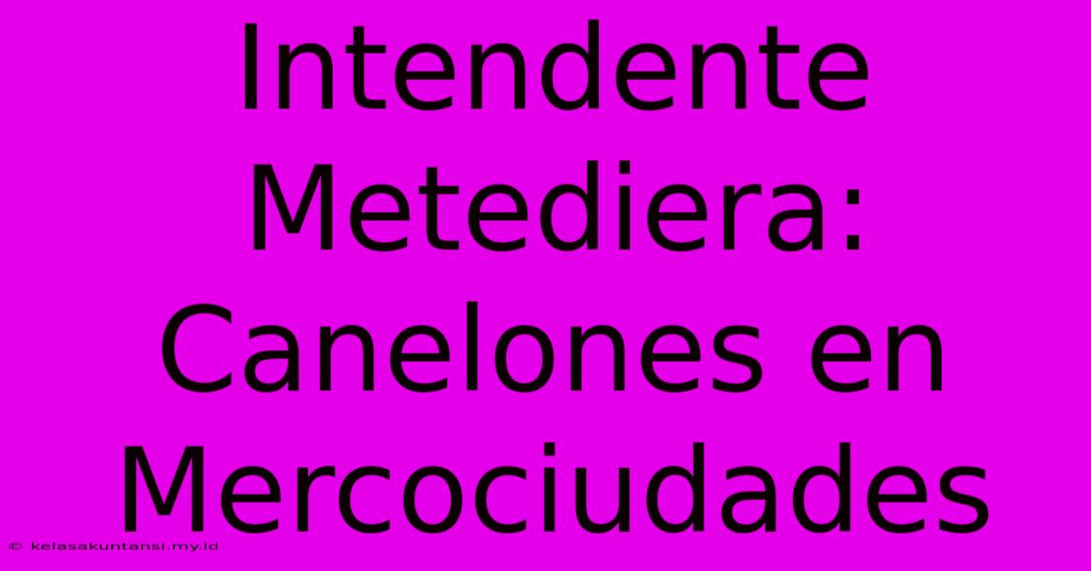 Intendente Metediera: Canelones En Mercociudades