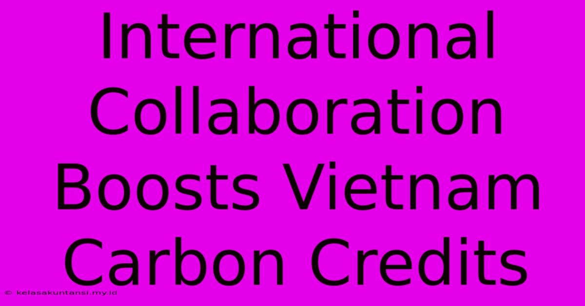 International Collaboration Boosts Vietnam Carbon Credits