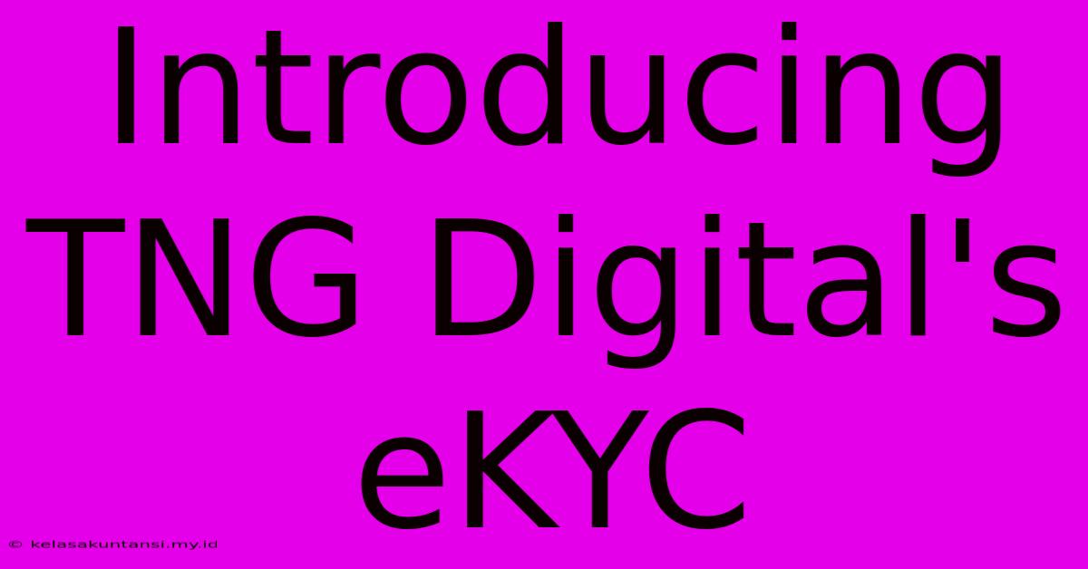 Introducing TNG Digital's EKYC