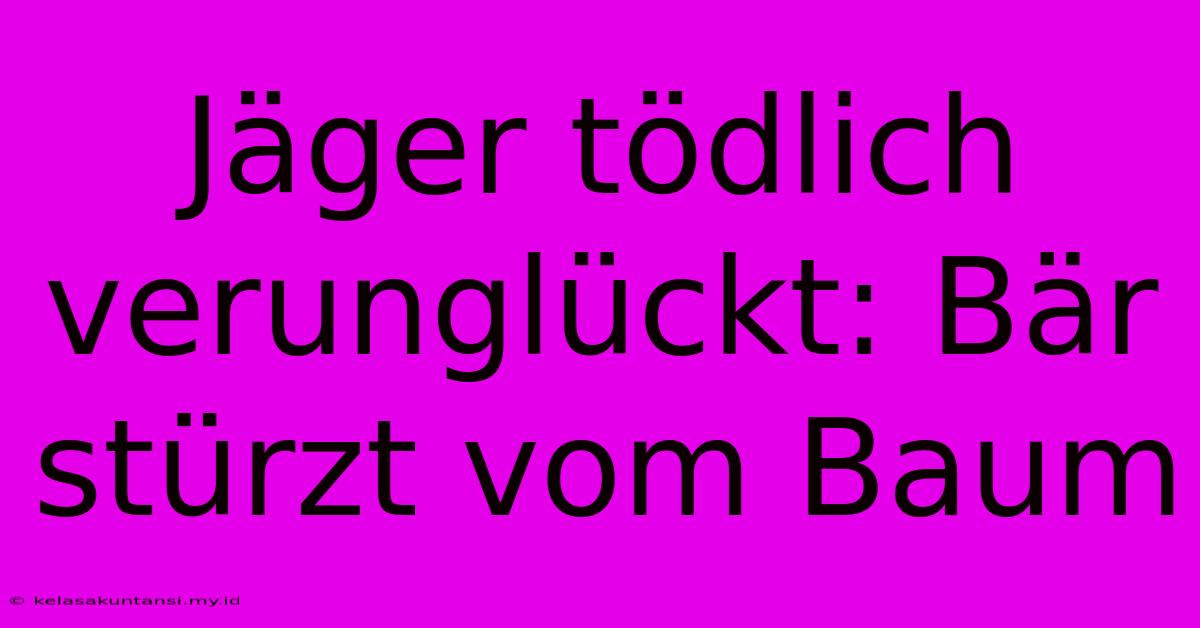 Jäger Tödlich Verunglückt: Bär Stürzt Vom Baum