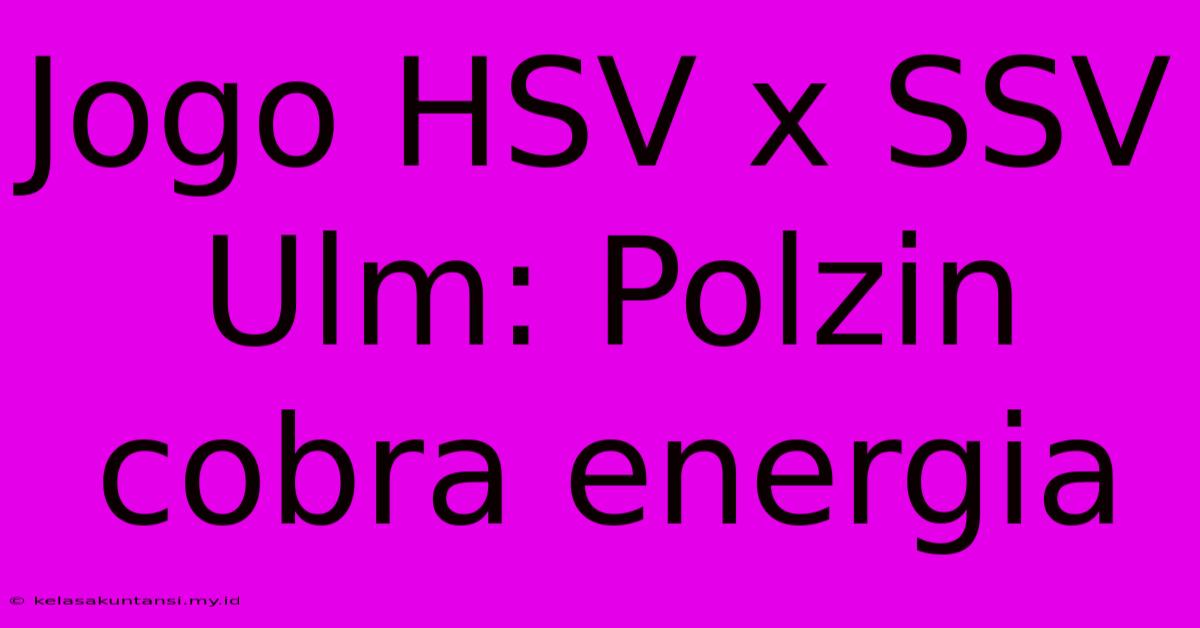 Jogo HSV X SSV Ulm: Polzin Cobra Energia