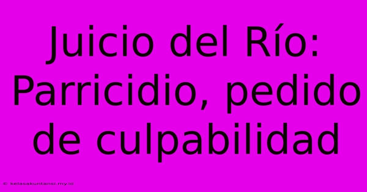 Juicio Del Río: Parricidio, Pedido De Culpabilidad