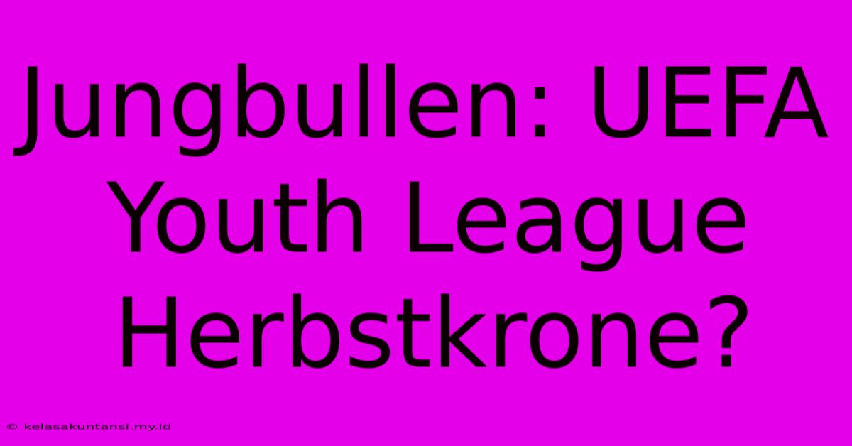 Jungbullen: UEFA Youth League Herbstkrone?