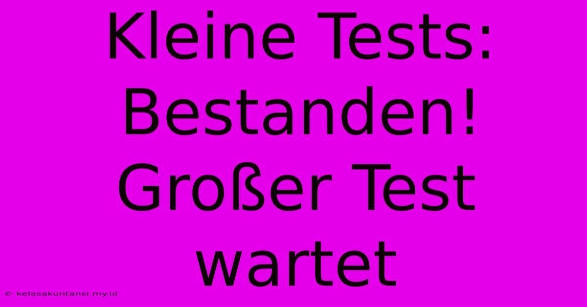 Kleine Tests: Bestanden! Großer Test Wartet