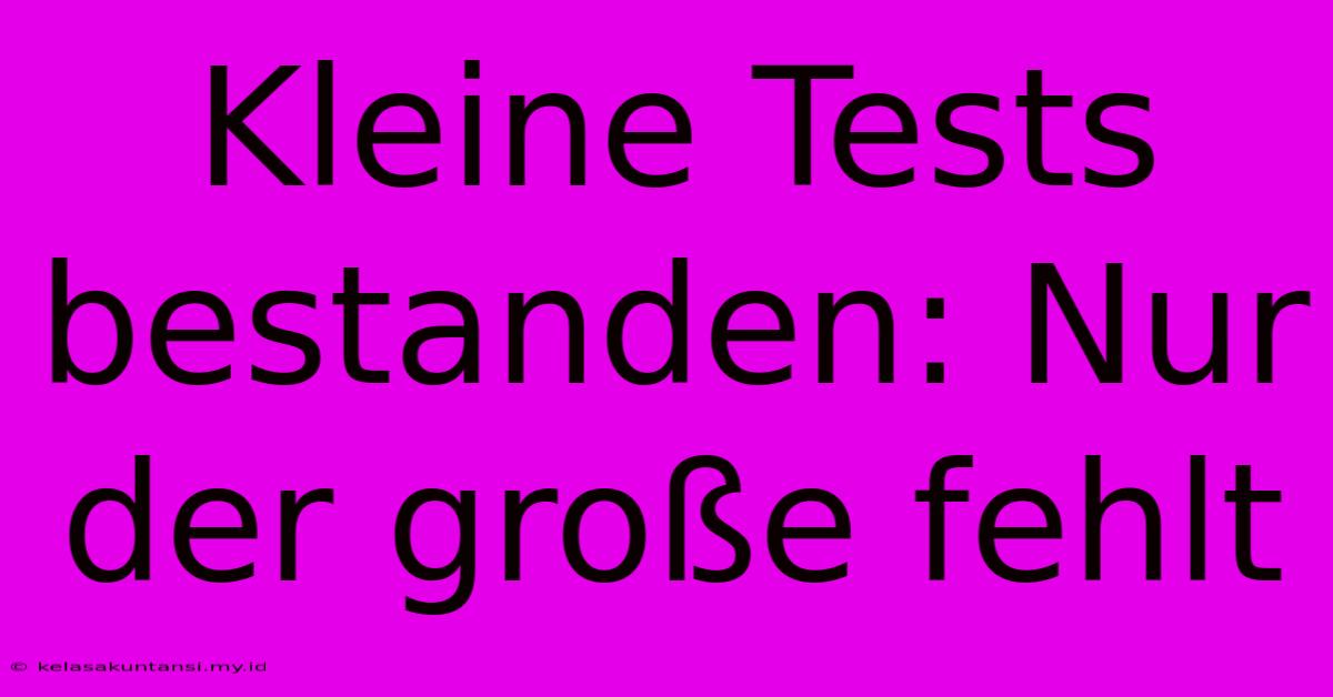 Kleine Tests Bestanden: Nur Der Große Fehlt