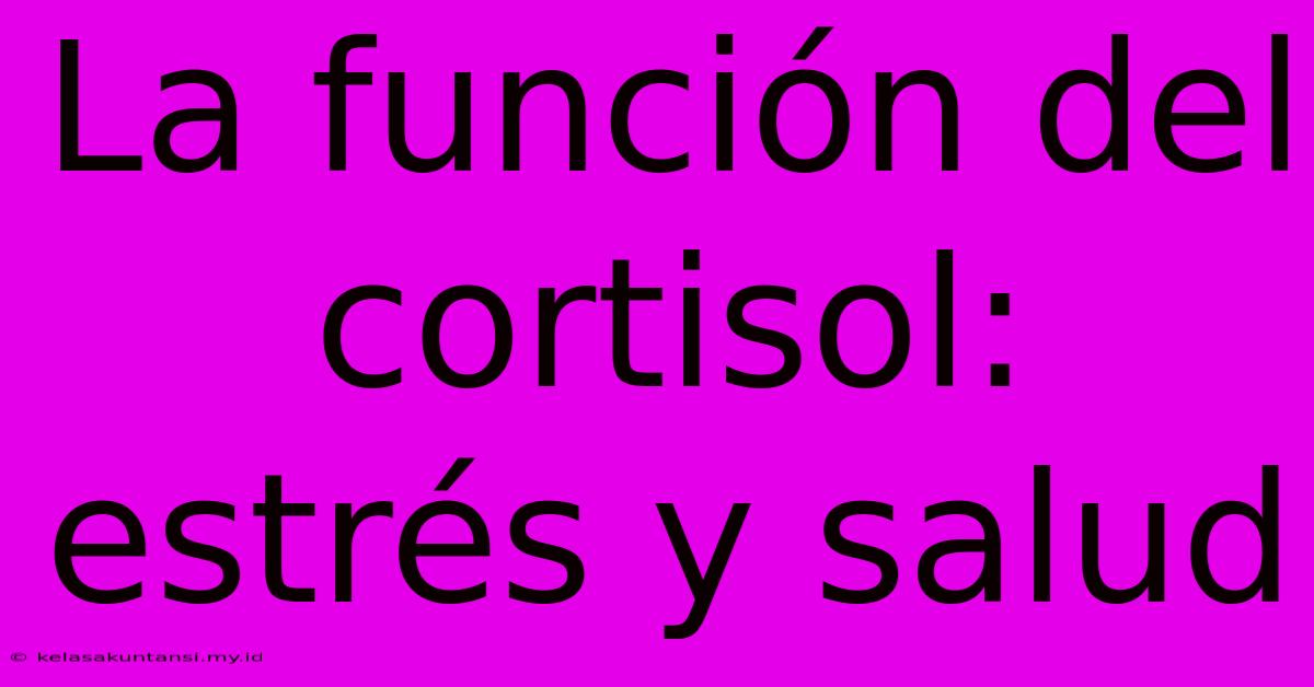 La Función Del Cortisol: Estrés Y Salud