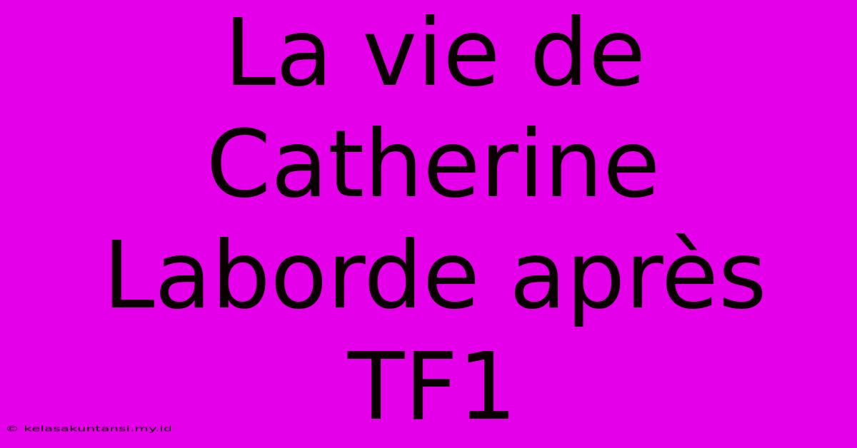 La Vie De Catherine Laborde Après TF1