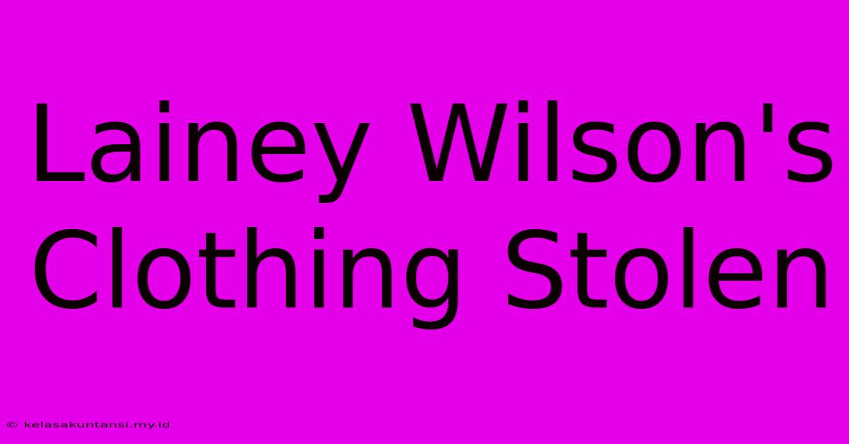 Lainey Wilson's Clothing Stolen