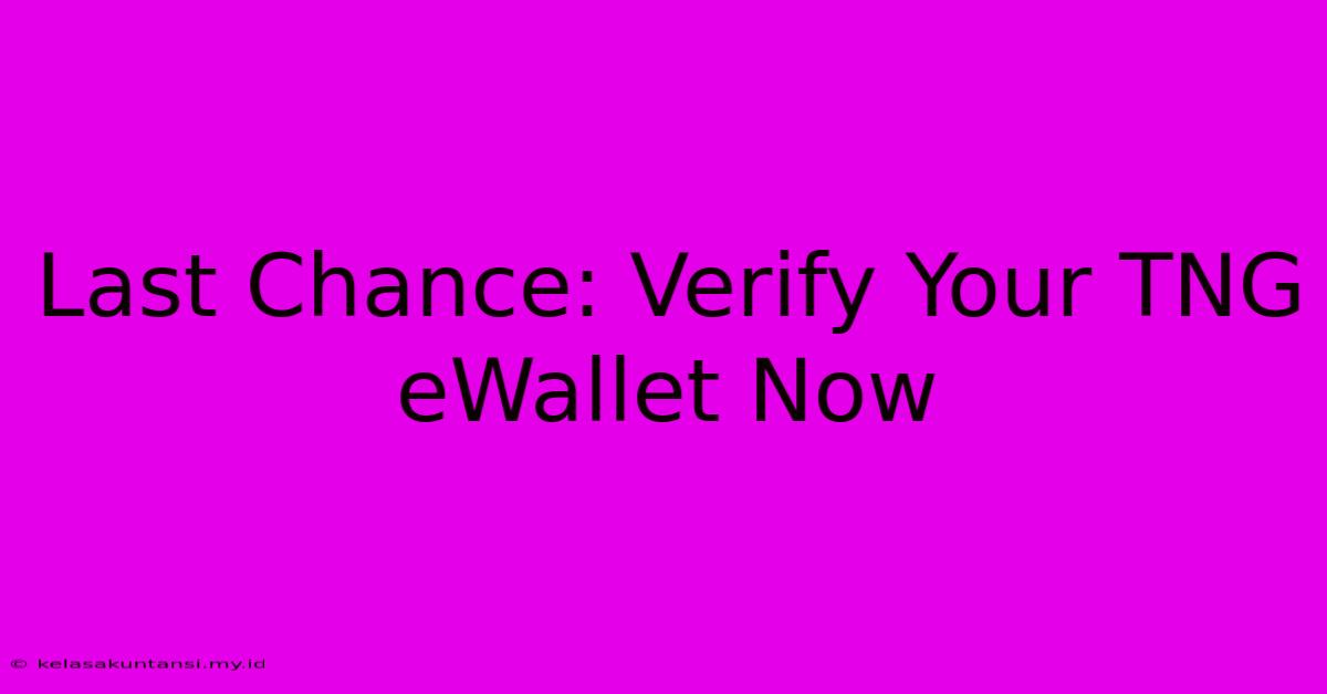 Last Chance: Verify Your TNG EWallet Now