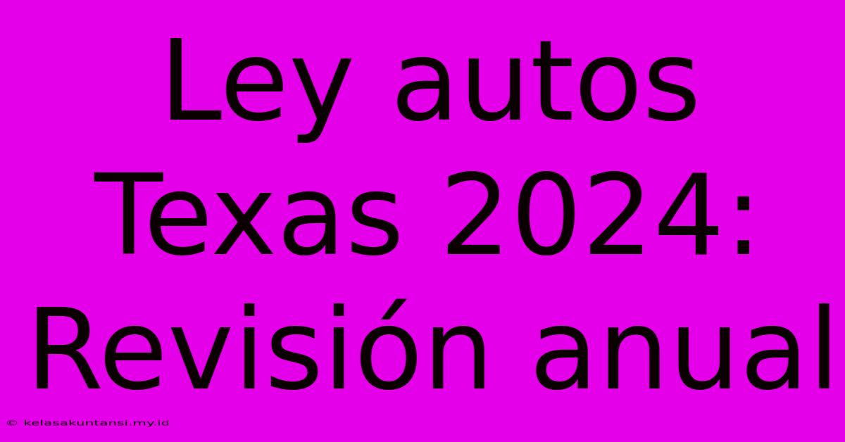 Ley Autos Texas 2024: Revisión Anual