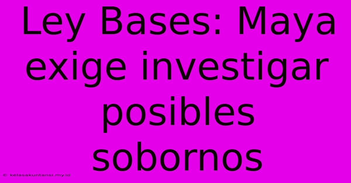 Ley Bases: Maya Exige Investigar Posibles Sobornos