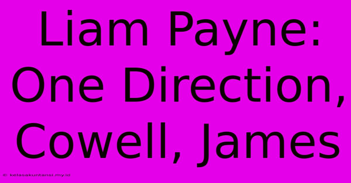 Liam Payne: One Direction, Cowell, James