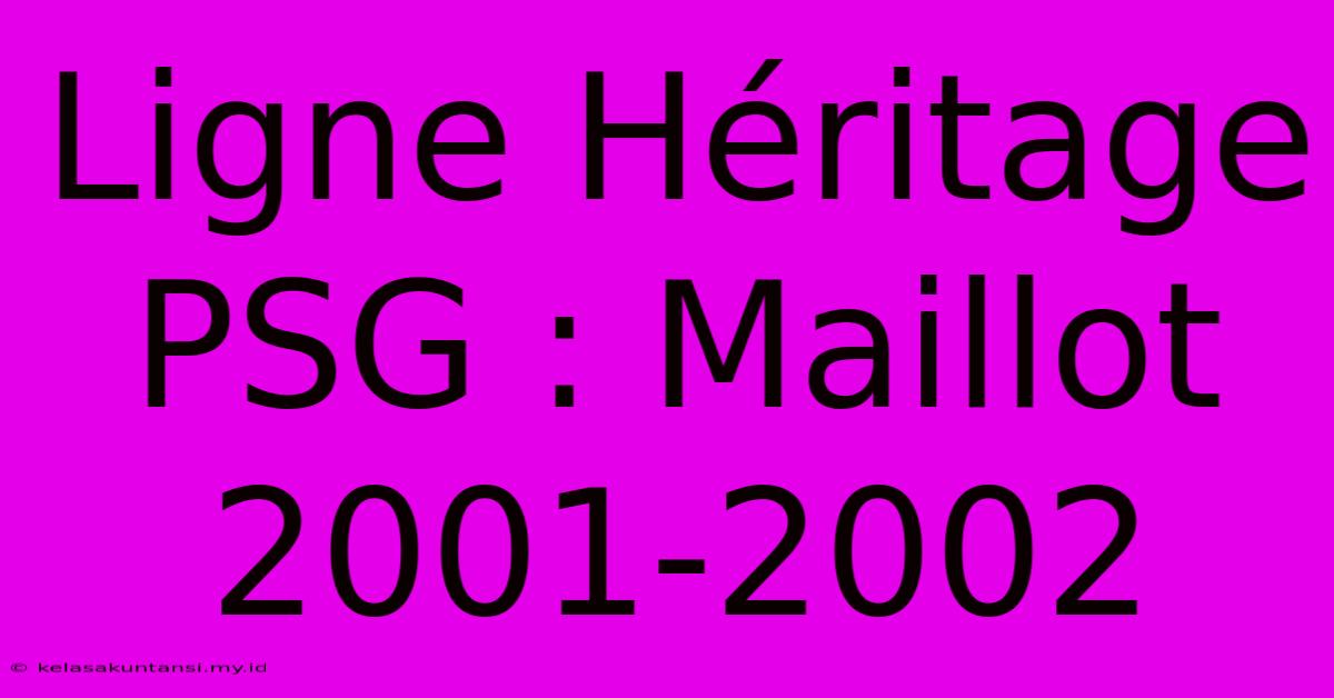 Ligne Héritage PSG : Maillot 2001-2002