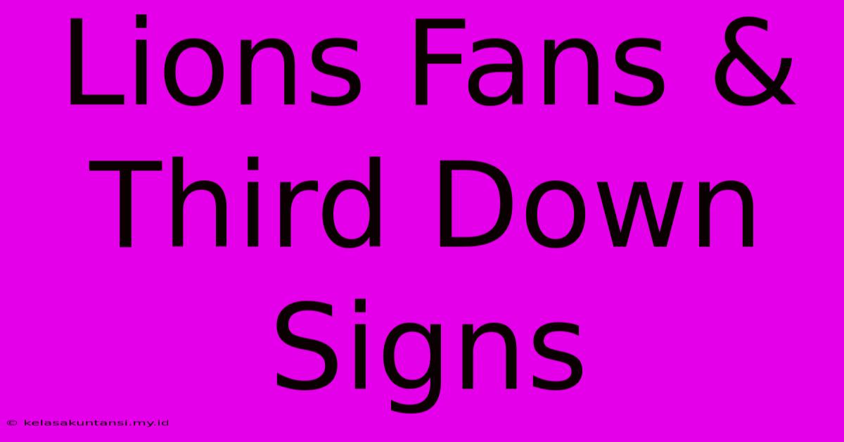 Lions Fans & Third Down Signs