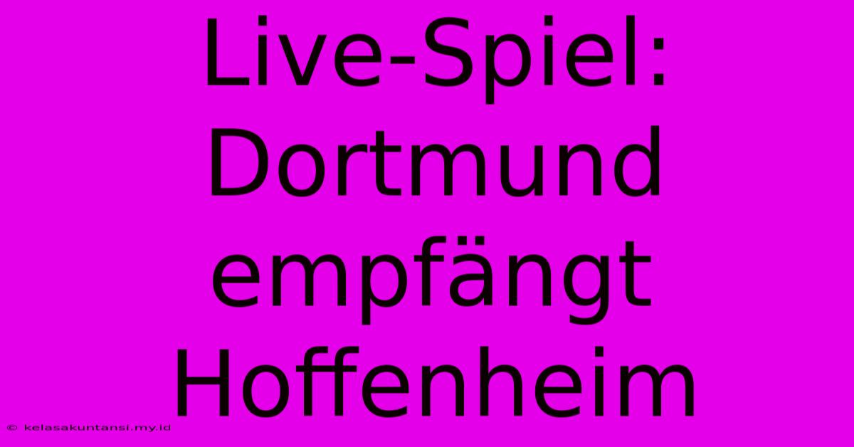 Live-Spiel: Dortmund Empfängt Hoffenheim