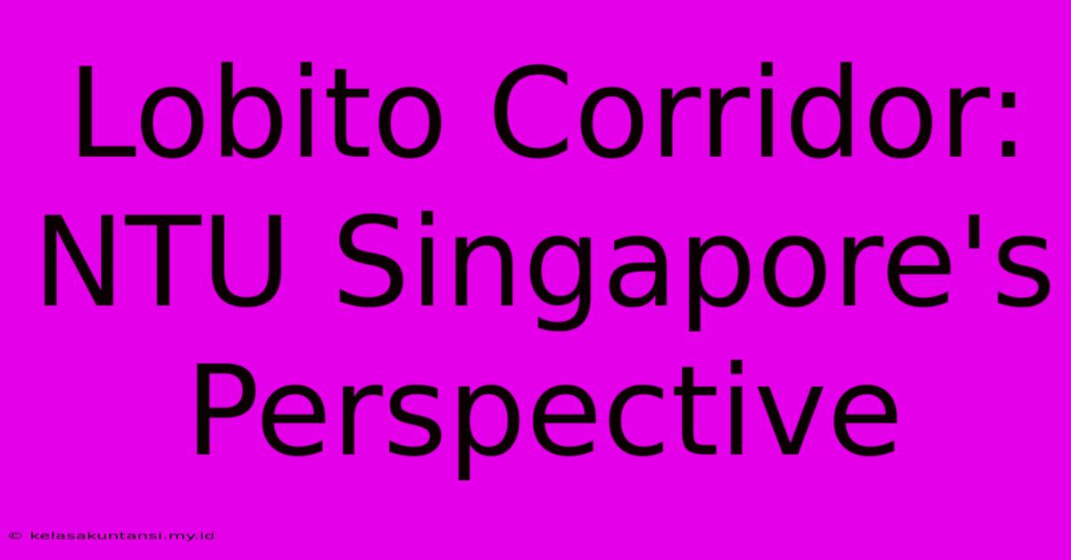 Lobito Corridor:  NTU Singapore's Perspective