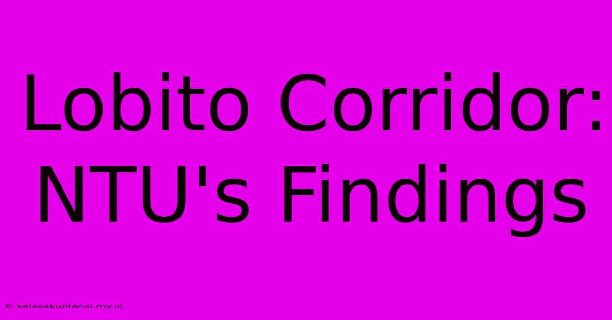 Lobito Corridor:  NTU's Findings