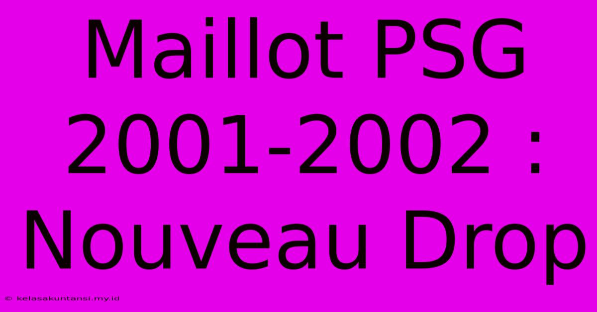 Maillot PSG 2001-2002 : Nouveau Drop Maillot PSG 2001-2002 : Nouveau Drop