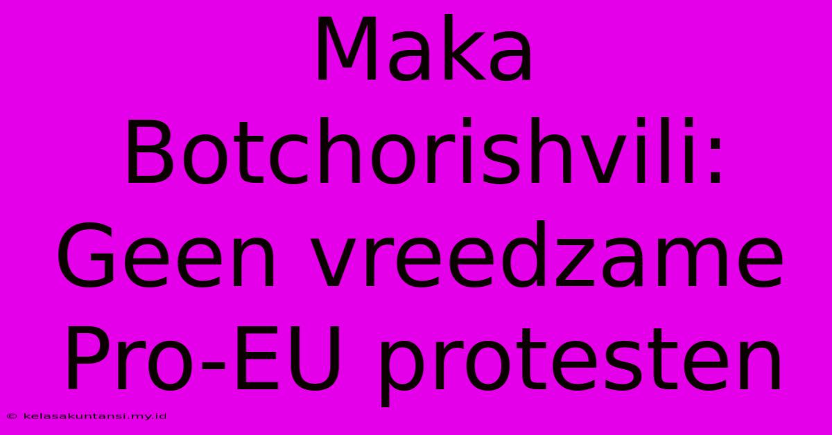 Maka Botchorishvili:  Geen Vreedzame Pro-EU Protesten