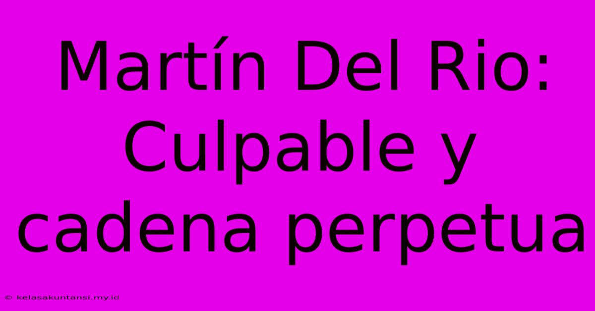 Martín Del Rio: Culpable Y Cadena Perpetua