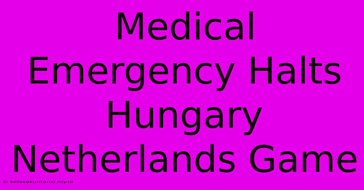 Medical Emergency Halts Hungary Netherlands Game