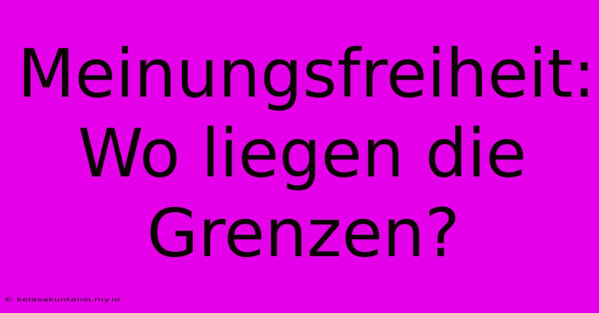 Meinungsfreiheit:  Wo Liegen Die Grenzen?