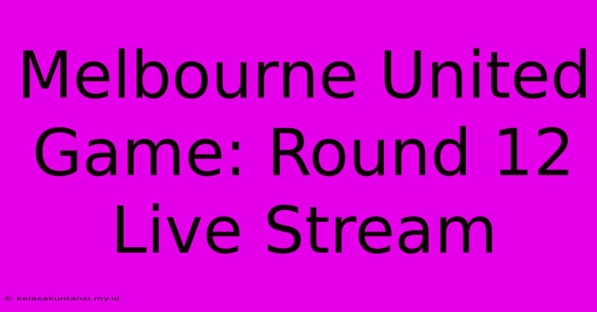 Melbourne United Game: Round 12 Live Stream