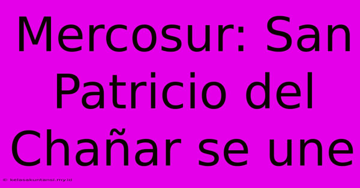 Mercosur: San Patricio Del Chañar Se Une