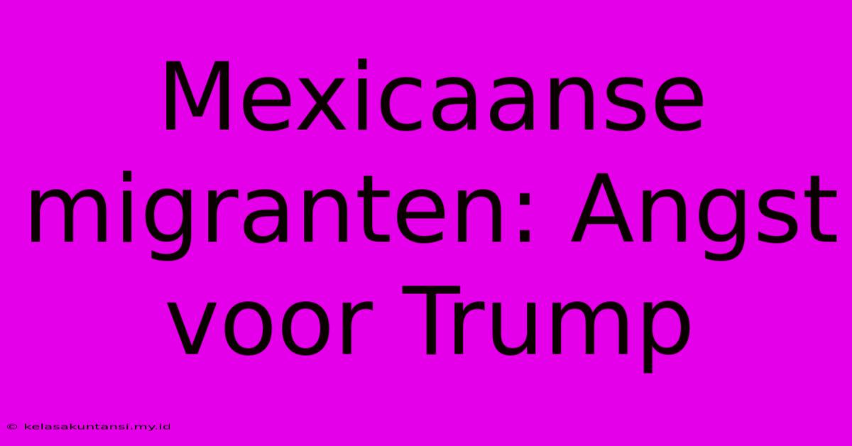 Mexicaanse Migranten: Angst Voor Trump