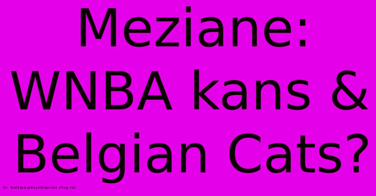 Meziane: WNBA Kans & Belgian Cats?