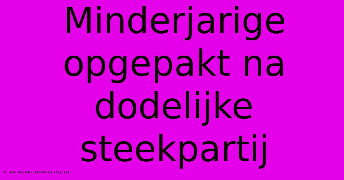 Minderjarige Opgepakt Na Dodelijke Steekpartij