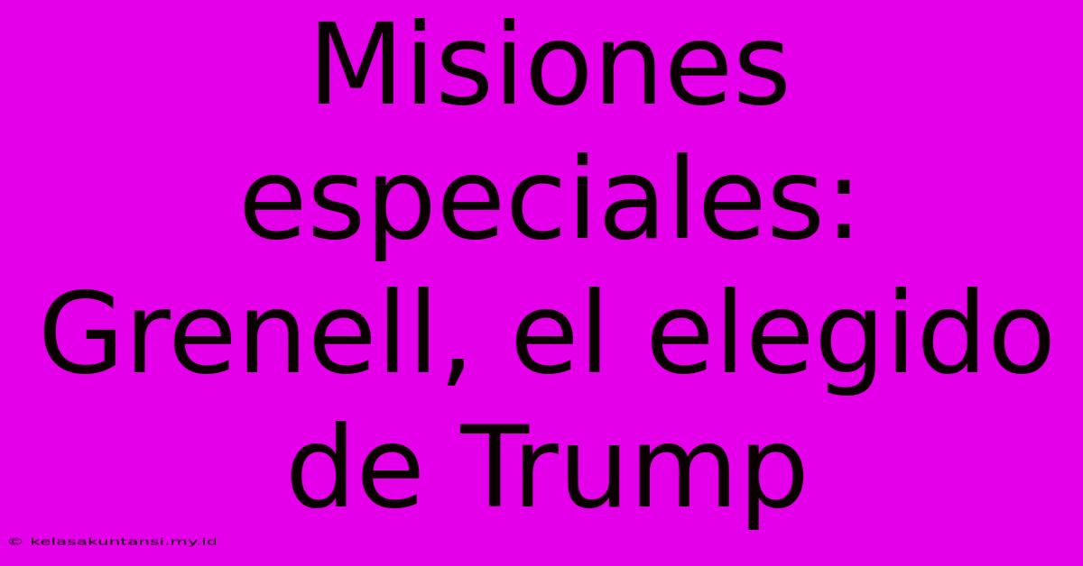 Misiones Especiales: Grenell, El Elegido De Trump