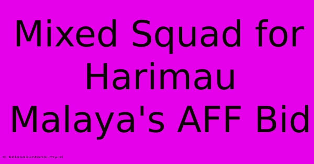 Mixed Squad For Harimau Malaya's AFF Bid