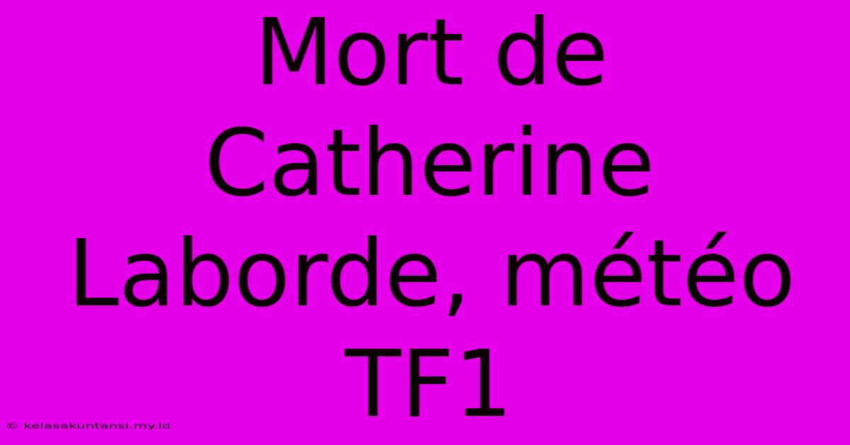 Mort De Catherine Laborde, Météo TF1