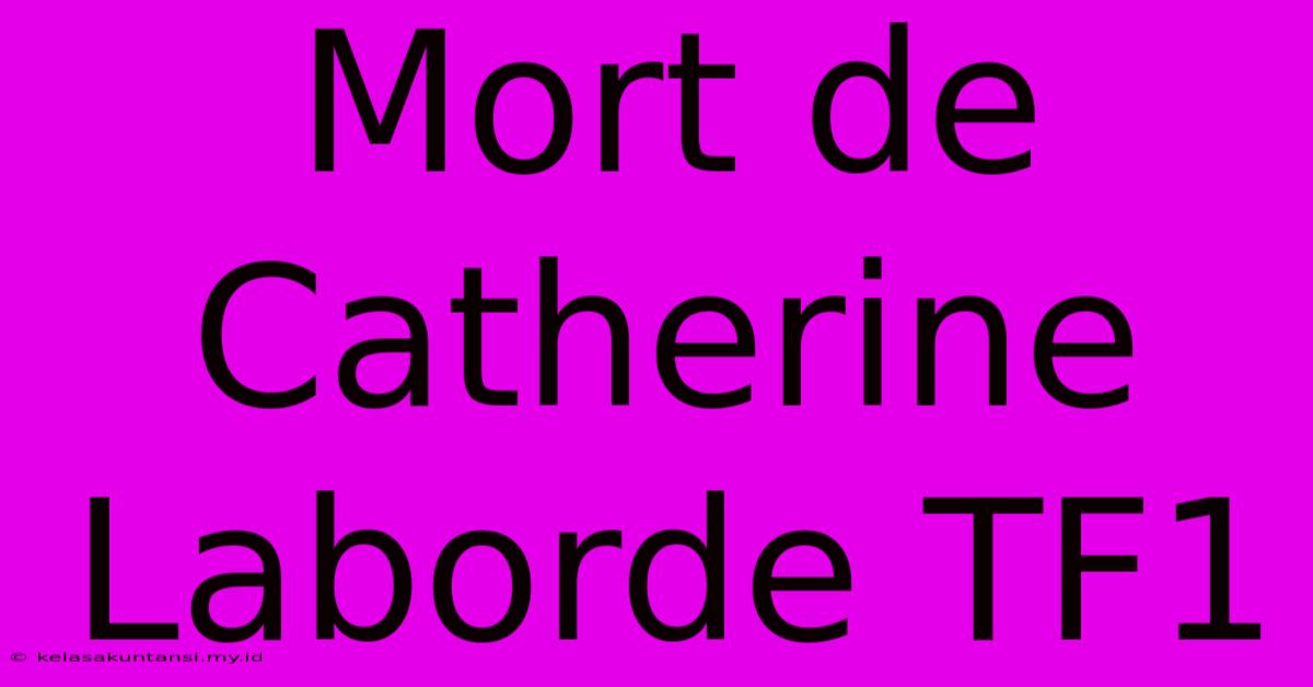 Mort De Catherine Laborde TF1