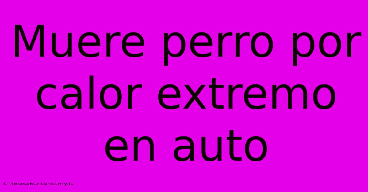 Muere Perro Por Calor Extremo En Auto